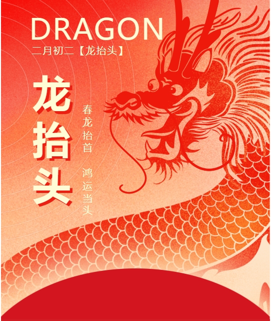 二月二龍?zhí)ь^，春龍振翅鴻運(yùn)啟 —— 佳木斯網(wǎng)云信息科技有限公司與您共迎新春盛景